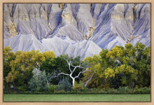 Load image into Gallery viewer, Ghost Tree