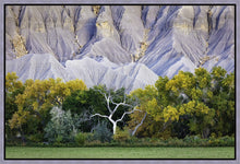 Load image into Gallery viewer, Ghost Tree
