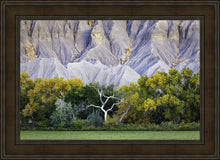 Load image into Gallery viewer, Ghost Tree