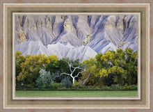 Load image into Gallery viewer, Ghost Tree