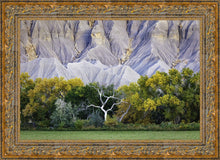 Load image into Gallery viewer, Ghost Tree
