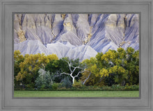 Load image into Gallery viewer, Ghost Tree
