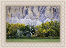 Load image into Gallery viewer, Ghost Tree