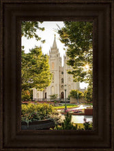 Load image into Gallery viewer, Salt Lake Peaceful Pathways