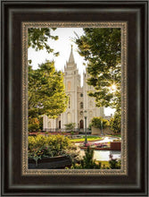 Load image into Gallery viewer, Salt Lake Peaceful Pathways