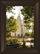Load image into Gallery viewer, Salt Lake Peaceful Pathways