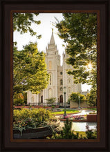 Load image into Gallery viewer, Salt Lake Peaceful Pathways