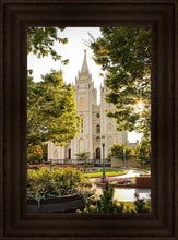 Load image into Gallery viewer, Salt Lake Peaceful Pathways