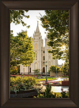 Load image into Gallery viewer, Salt Lake Peaceful Pathways