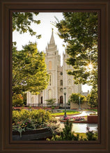 Load image into Gallery viewer, Salt Lake Peaceful Pathways