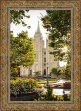 Load image into Gallery viewer, Peaceful Pathways