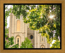 Load image into Gallery viewer, Salt Lake Brilliant Light Gallery Wrap