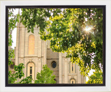 Load image into Gallery viewer, Salt Lake Brilliant Light Gallery Wrap