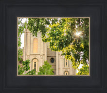 Load image into Gallery viewer, Salt Lake Brilliant Light