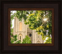 Load image into Gallery viewer, Salt Lake Brilliant Light