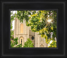 Load image into Gallery viewer, Salt Lake Brilliant Light