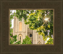 Load image into Gallery viewer, Salt Lake Brilliant Light