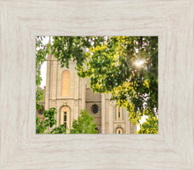 Load image into Gallery viewer, Salt Lake Brilliant Light