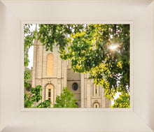 Load image into Gallery viewer, Salt Lake Brilliant Light