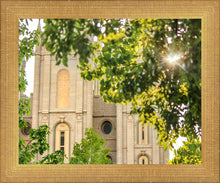 Load image into Gallery viewer, Salt Lake Brilliant Light