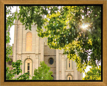 Load image into Gallery viewer, Salt Lake Brilliant Light Gallery Wrap