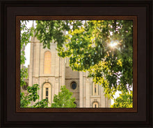 Load image into Gallery viewer, Salt Lake Brilliant Light