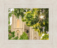 Load image into Gallery viewer, Salt Lake Brilliant Light