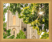 Load image into Gallery viewer, Salt Lake Brilliant Light