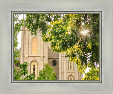 Load image into Gallery viewer, Salt Lake Brilliant Light