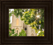 Load image into Gallery viewer, Salt Lake Brilliant Light