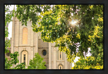 Load image into Gallery viewer, Salt Lake Brilliant Light Gallery Wrap