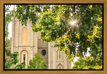 Load image into Gallery viewer, Salt Lake Brilliant Light Gallery Wrap