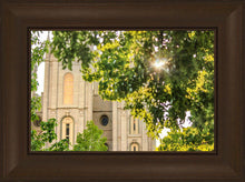 Load image into Gallery viewer, Salt Lake Brilliant Light
