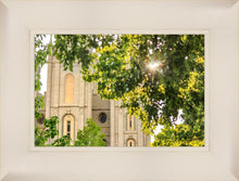 Load image into Gallery viewer, Salt Lake Brilliant Light