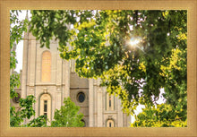 Load image into Gallery viewer, Salt Lake Brilliant Light
