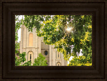 Load image into Gallery viewer, Salt Lake Brilliant Light