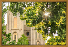 Load image into Gallery viewer, Salt Lake Brilliant Light Gallery Wrap