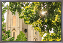 Load image into Gallery viewer, Salt Lake Brilliant Light Gallery Wrap