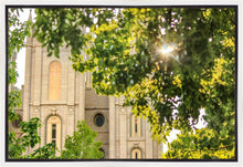 Load image into Gallery viewer, Salt Lake Brilliant Light Gallery Wrap