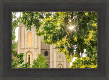 Load image into Gallery viewer, Salt Lake Brilliant Light