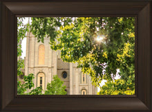 Load image into Gallery viewer, Salt Lake Brilliant Light