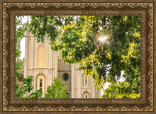 Load image into Gallery viewer, Salt Lake Brilliant Light