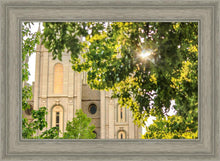 Load image into Gallery viewer, Salt Lake Brilliant Light