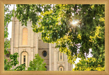 Load image into Gallery viewer, Salt Lake Brilliant Light