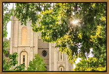 Load image into Gallery viewer, Salt Lake Brilliant Light Gallery Wrap