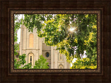 Load image into Gallery viewer, Salt Lake Brilliant Light