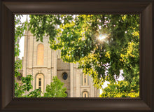 Load image into Gallery viewer, Salt Lake Brilliant Light