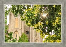 Load image into Gallery viewer, Salt Lake Brilliant Light
