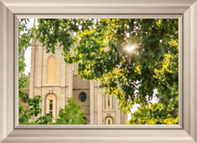 Load image into Gallery viewer, Salt Lake Brilliant Light