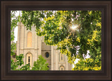 Load image into Gallery viewer, Salt Lake Brilliant Light